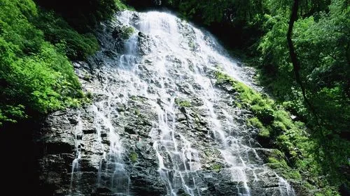 高标准精密电子